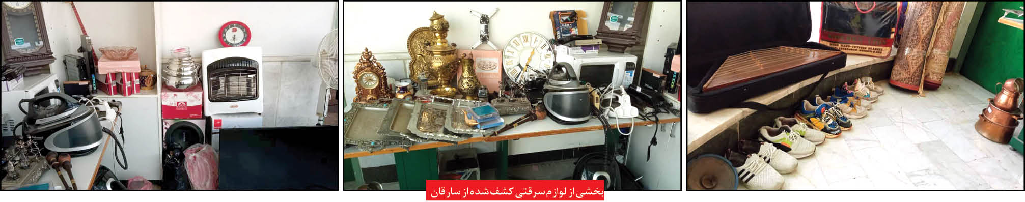 زاغ های تبهکار