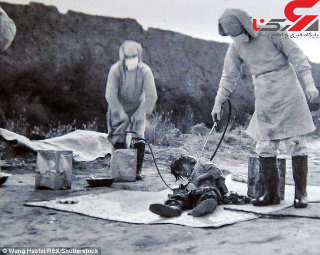 اردوگاه ژاپن