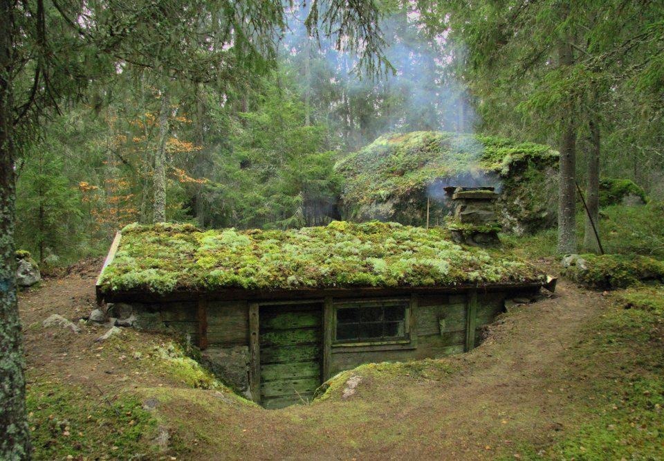 کلبه ای در جنگل سوئد