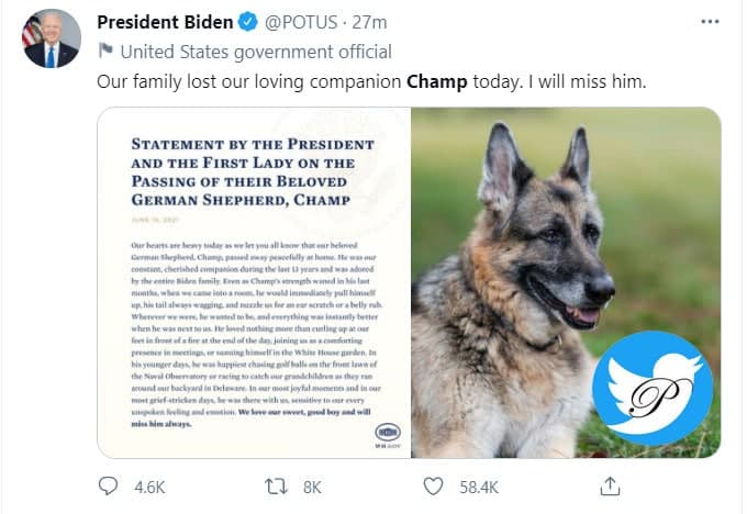 سگ بایدن مرد