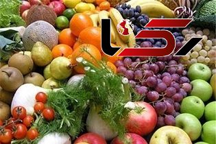 صادرات ۲۲ میلیون دلاری محصولات کشاورزی در سال گذشته