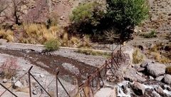 رفتار وحشیانه ارباب سعودی با مستخدم فیلیپینی عکس