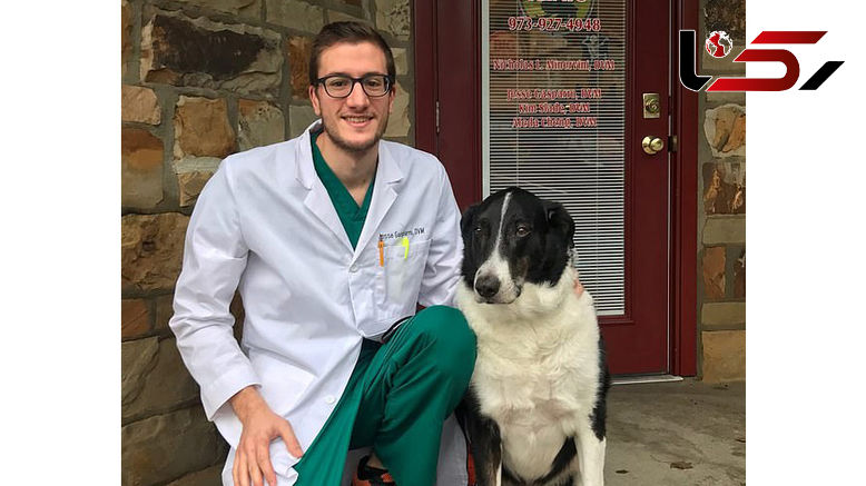 اقدام به قتل سگ خانگی برای یک زوج دردسرساز شد+ عکس