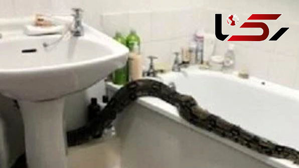 صحنه وحشتناکی که زن جوان در حمام خانه اش دید+عکس
