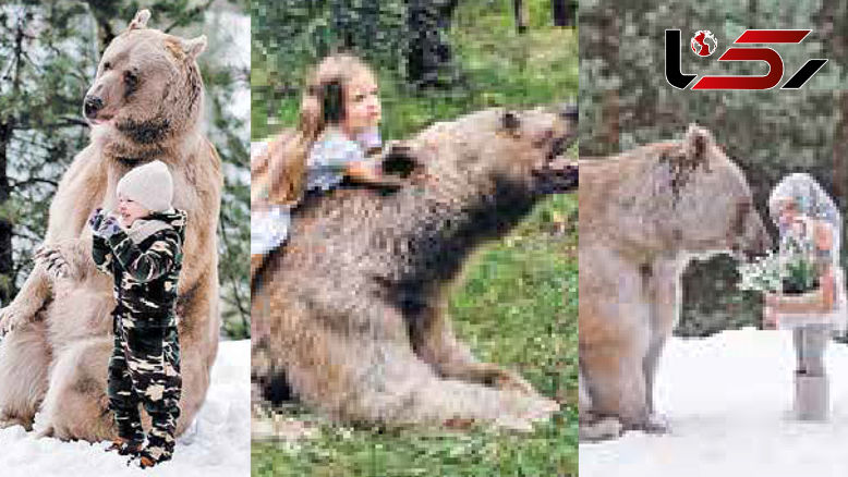 این دختر زیبای روس دوست وحشی ترین خرس جهان است + عکس های باورنکردنی