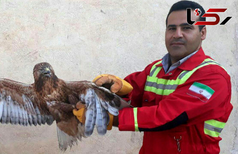 مهمان شامگاهی خانواده خرم آبادی را به وحشت انداخت! + عکس و جزئیات