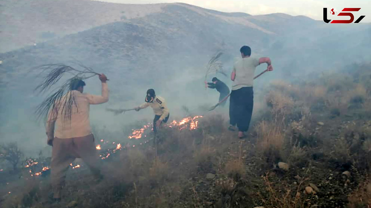 آتش در ارتفاعات ارسنجان