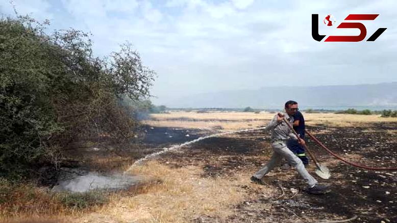مهار ۳ آتش سوزی در مناطق حفاظت شده بوشهر مهار ۳ آتش سوزی در مناطق حفاظت شده بوشهر