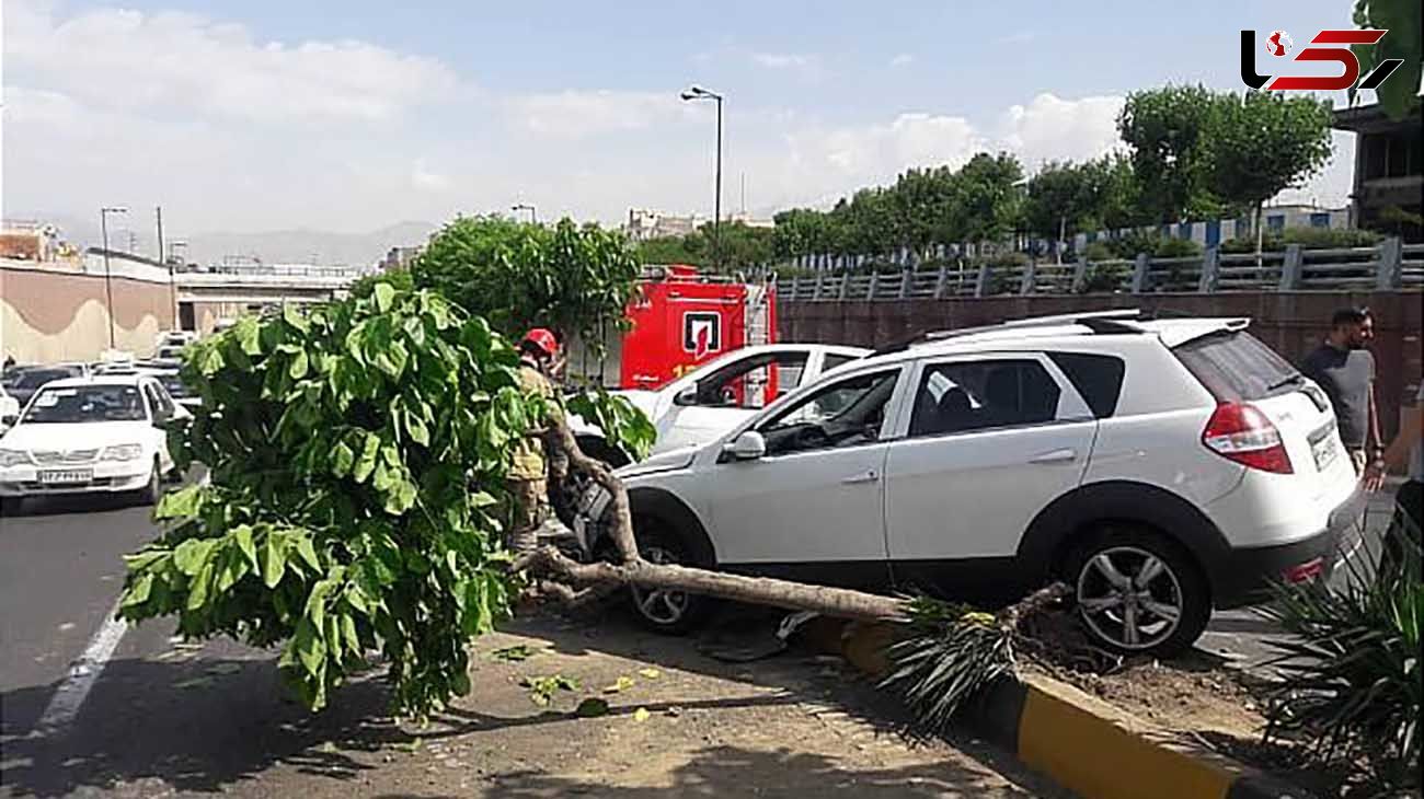 عکس های تصادف شدید 3 خودرو در بزرگراه سعیدی