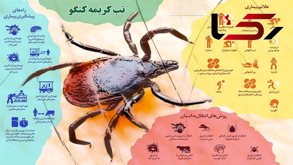تب کرÛÙ
Ù Ú©Ùگ٠در Ú©Ù
ÛÙ Ù
ردÙ
Ø§ÛØ±Ø§Ù