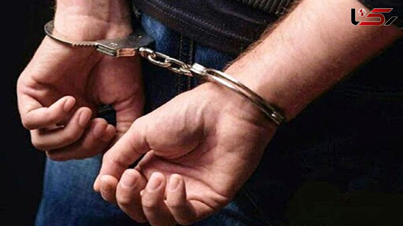 دستگیری عامل حفاری غیرمجاز در قلعه تاریخی میبد 